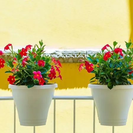 Fuoro 10 Appartamento